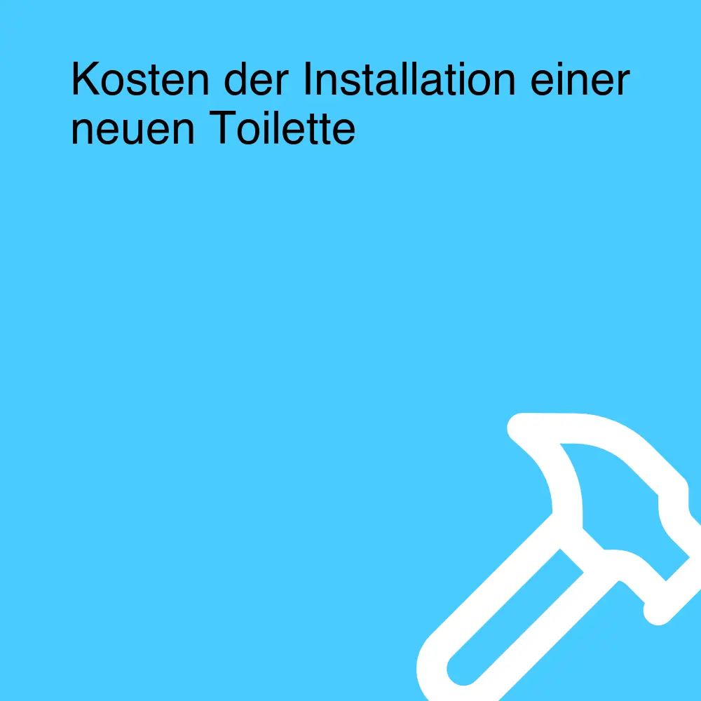 Kosten der Installation einer neuen Toilette