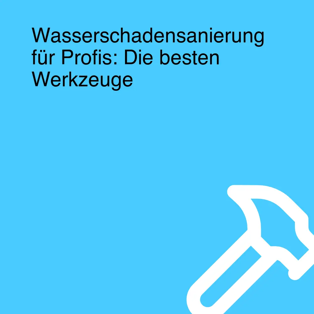 Wasserschadensanierung für Profis: Die besten Werkzeuge