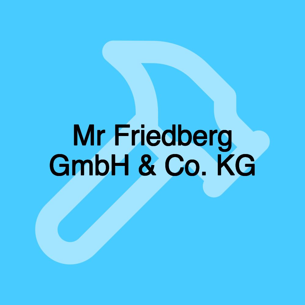 Mr Friedberg GmbH & Co. KG