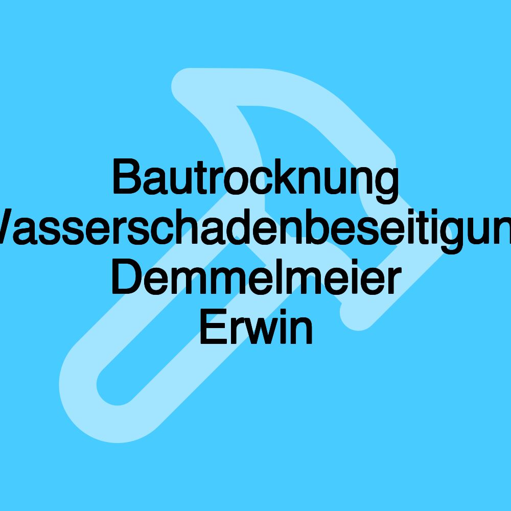 Bautrocknung Wasserschadenbeseitigung Demmelmeier Erwin