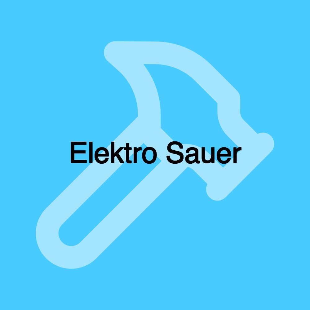 Elektro Sauer