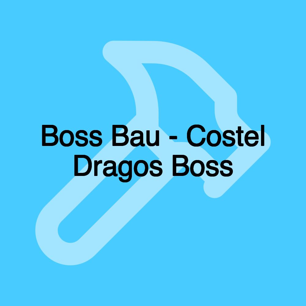 Boss Bau - Costel Dragos Boss