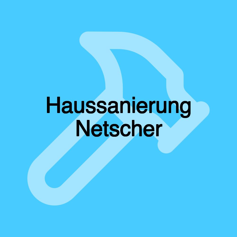 Haussanierung Netscher