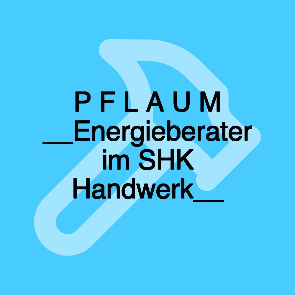 P F L A U M __Energieberater im SHK Handwerk__