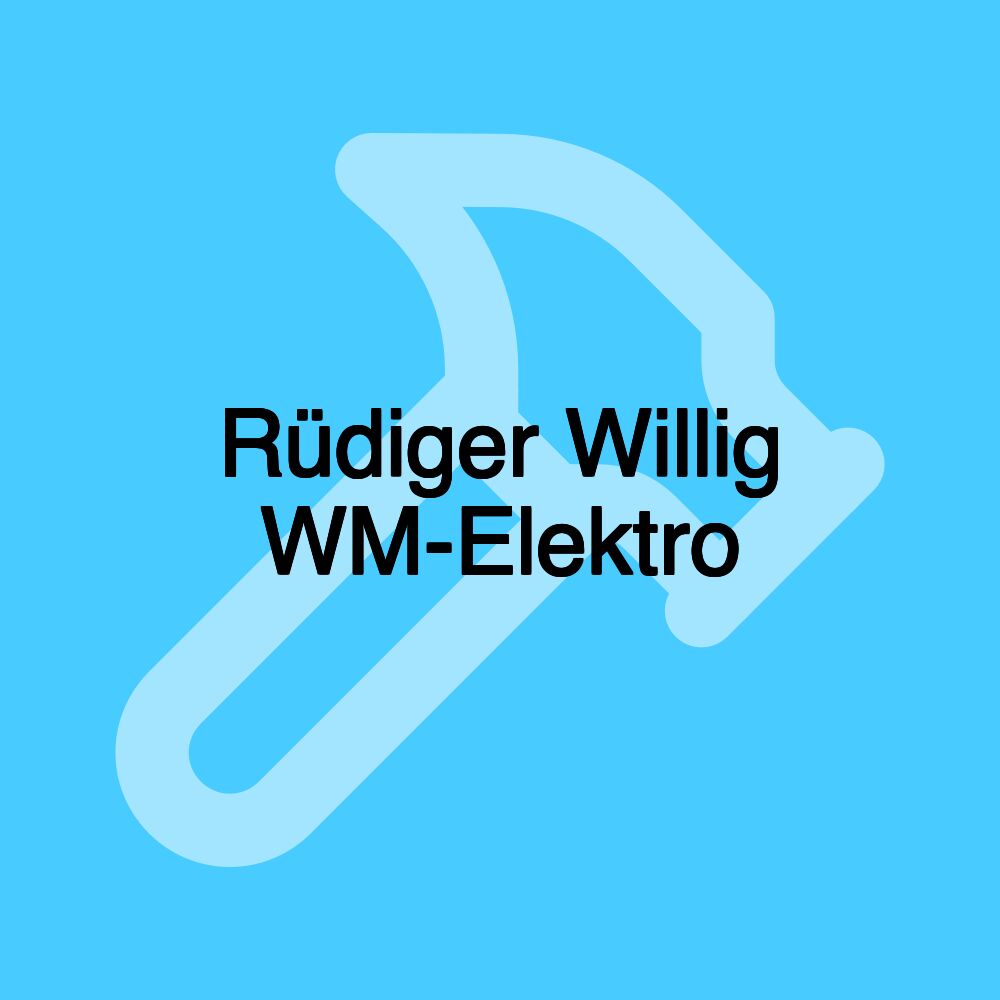 Rüdiger Willig WM-Elektro