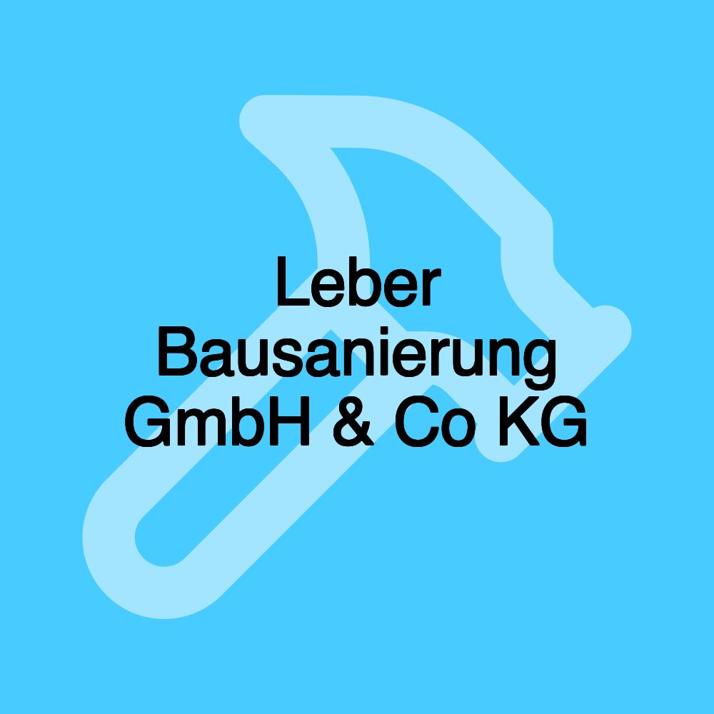 Leber Bausanierung GmbH & Co KG