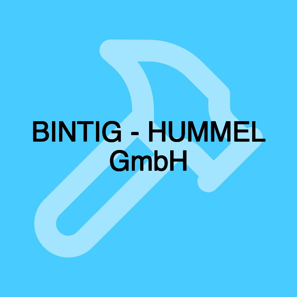 BINTIG - HUMMEL GmbH