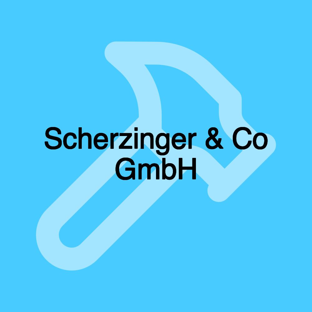 Scherzinger & Co GmbH