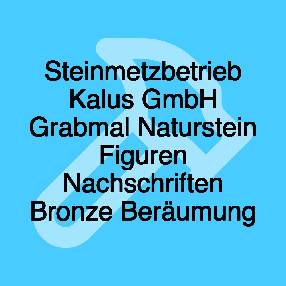 Steinmetzbetrieb Kalus GmbH Grabmal Naturstein Figuren Nachschriften Bronze Beräumung