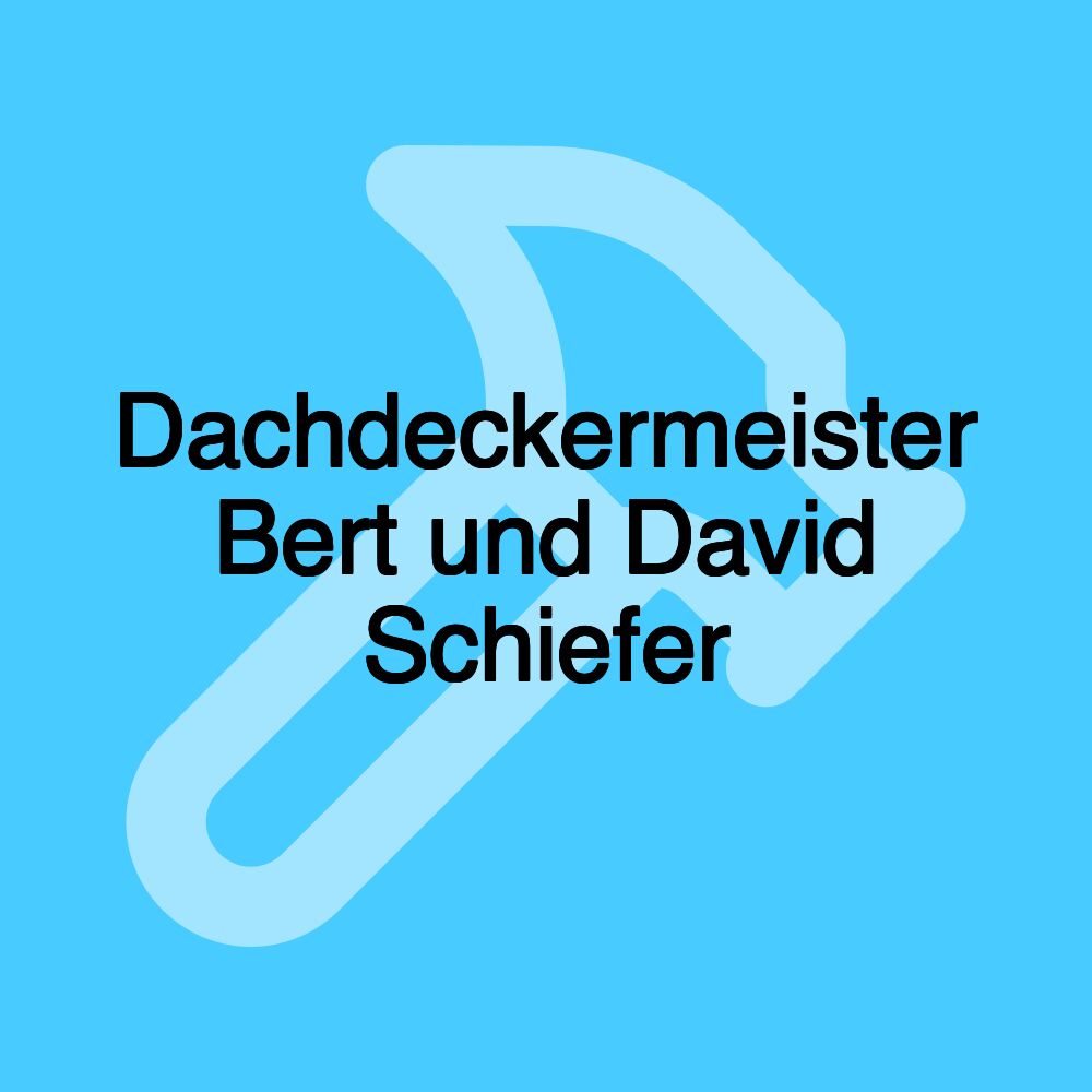 Dachdeckermeister Bert und David Schiefer