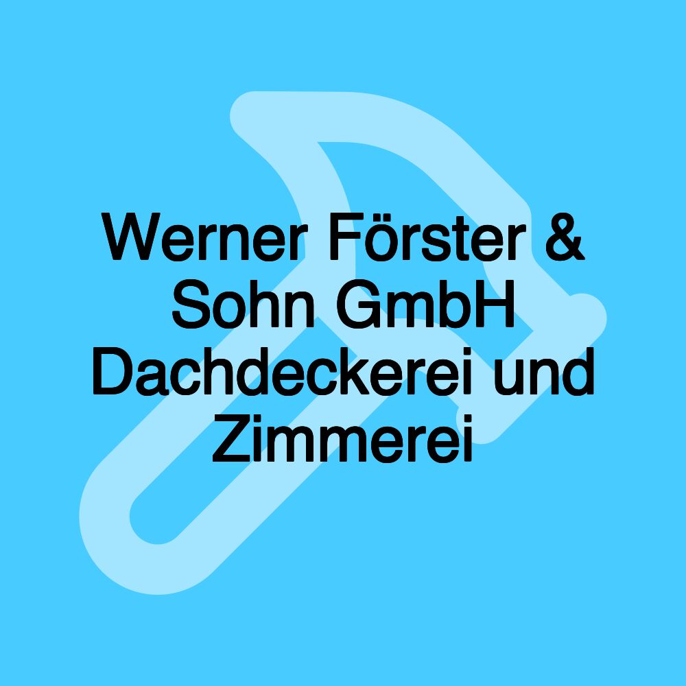 Werner Förster & Sohn GmbH Dachdeckerei und Zimmerei