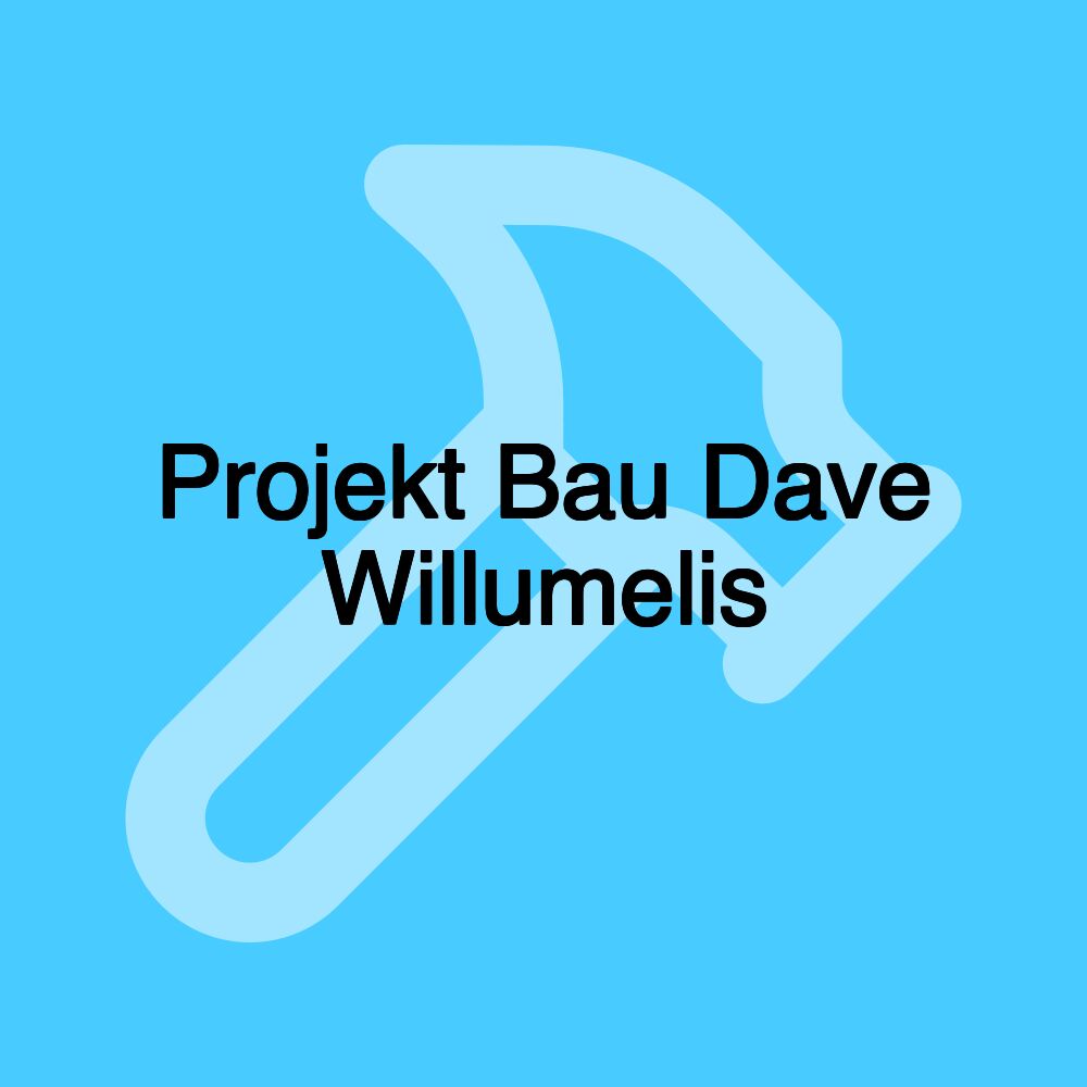 Projekt Bau Dave Willumelis