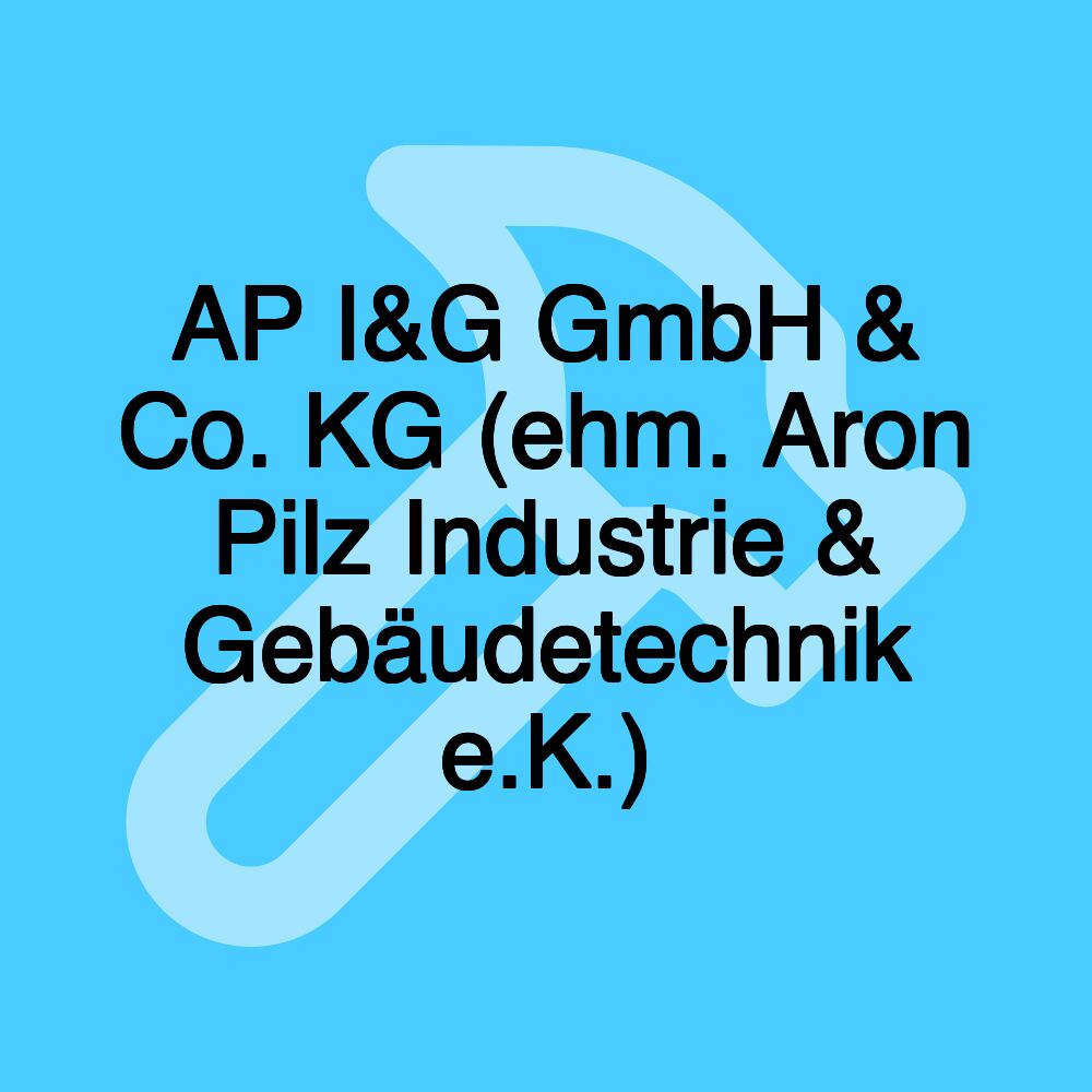 AP I&G GmbH & Co. KG (ehm. Aron Pilz Industrie & Gebäudetechnik e.K.)