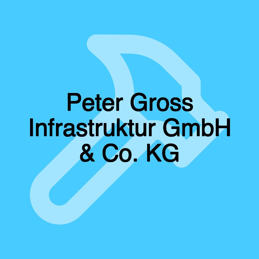 Peter Gross Infrastruktur GmbH & Co. KG