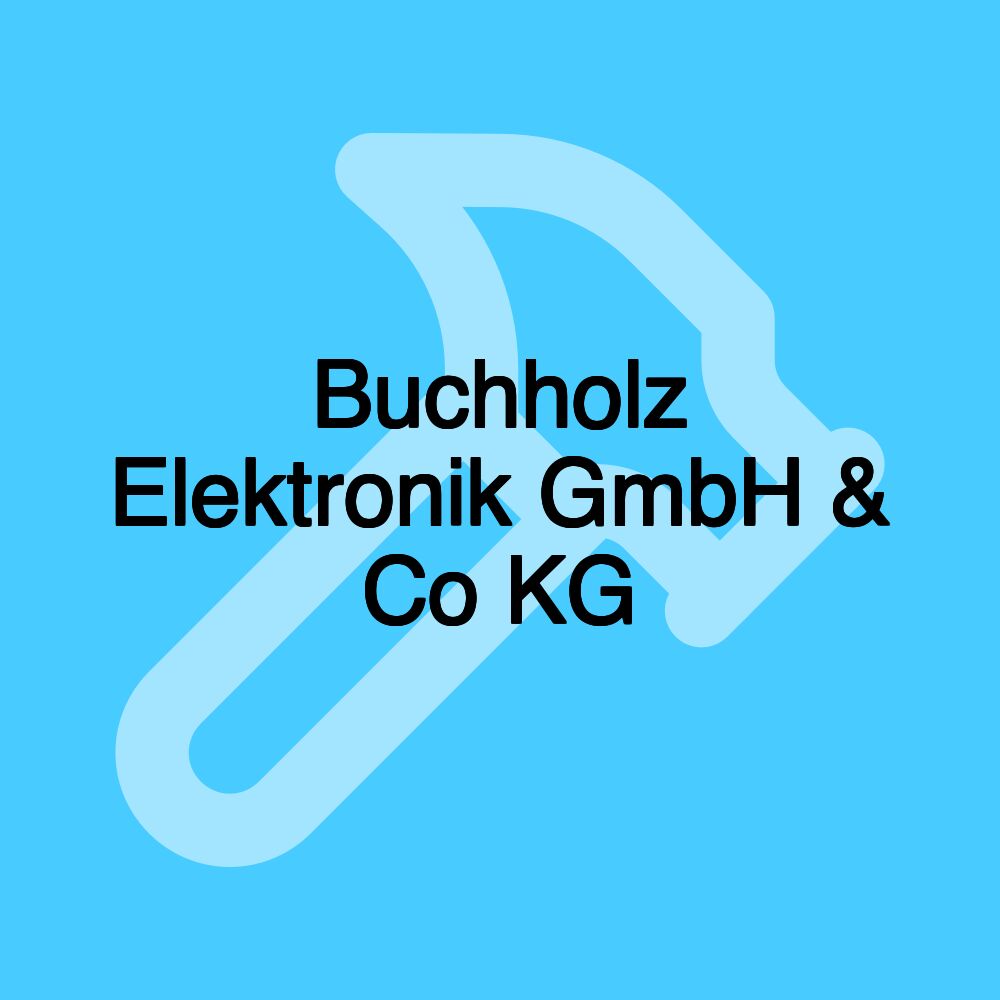 Buchholz Elektronik GmbH & Co KG