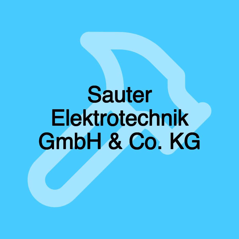 Sauter Elektrotechnik GmbH & Co. KG