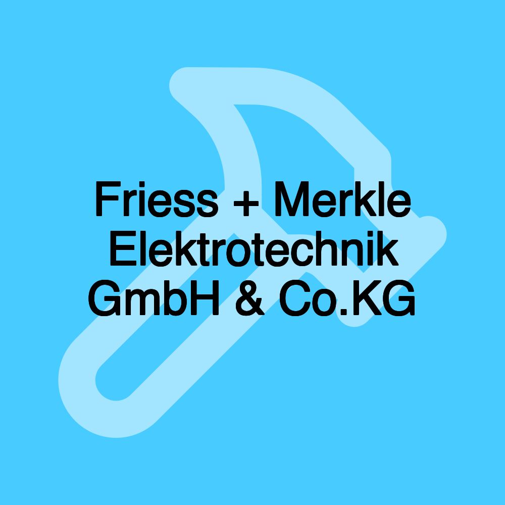 Friess + Merkle Elektrotechnik GmbH & Co.KG