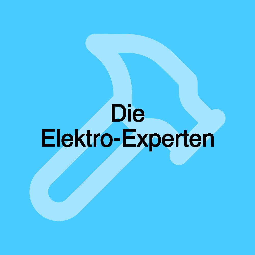 Die Elektro-Experten