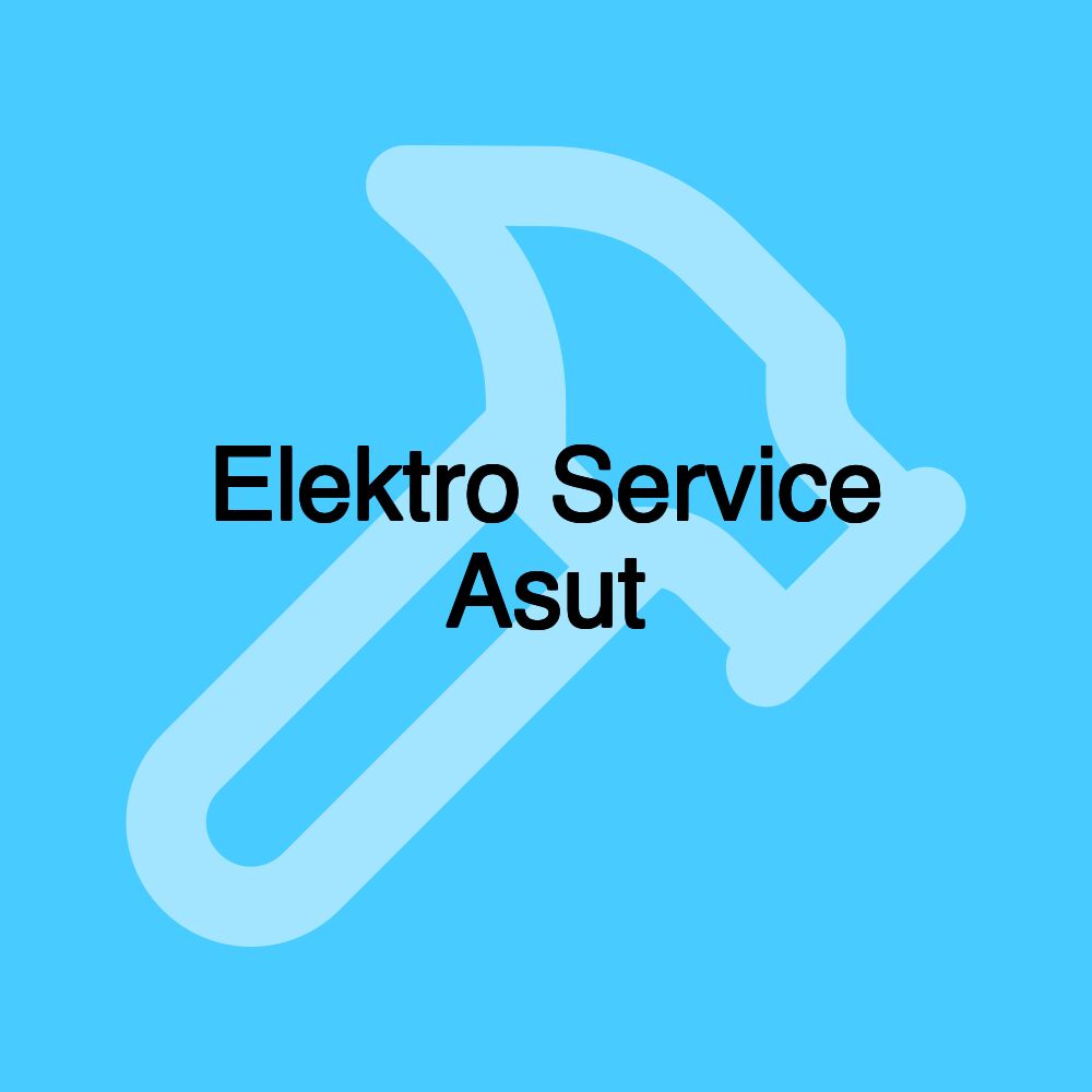 Elektro Service Asut