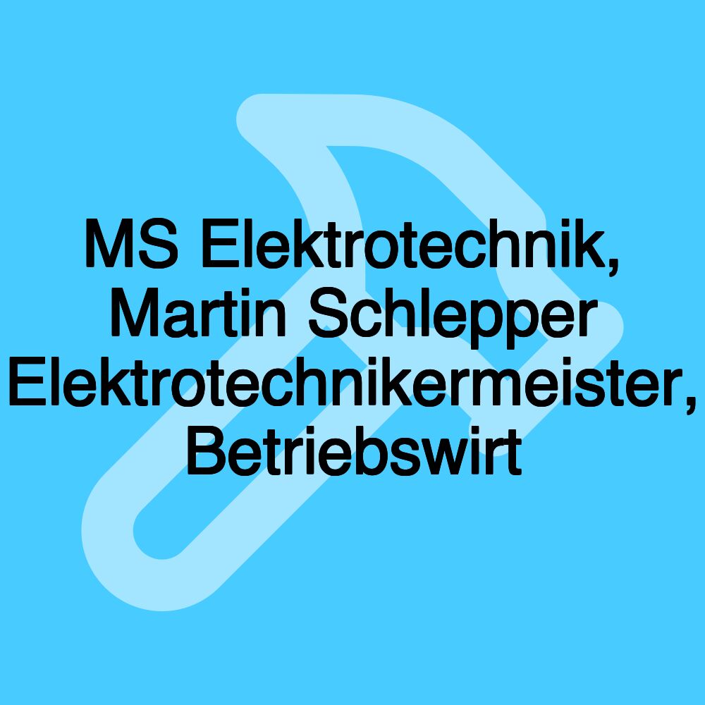 MS Elektrotechnik, Martin Schlepper Elektrotechnikermeister, Betriebswirt