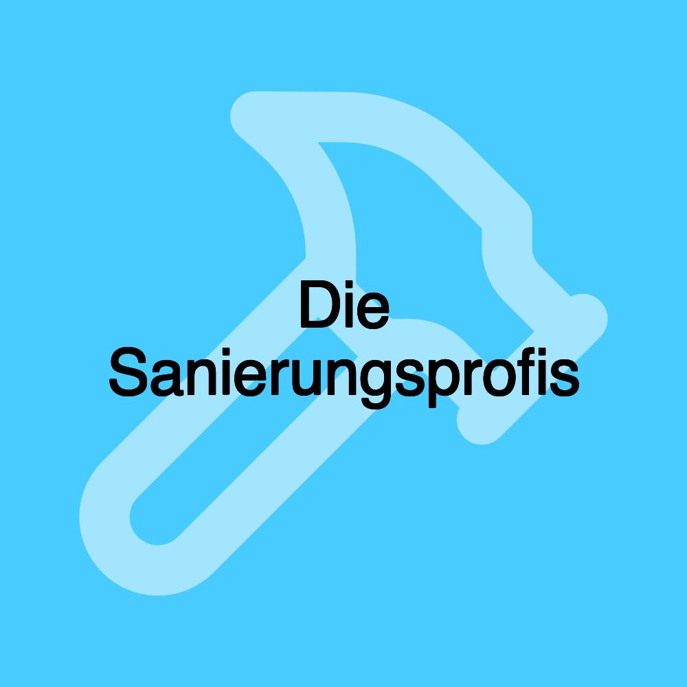 Die Sanierungsprofis